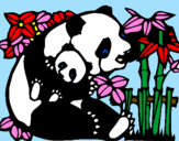 Desenho Mamã panda pintado por amora