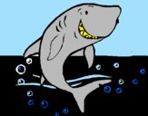 Desenho Tubarão pintado por rebeca