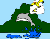 Desenho Golfinho e gaviota pintado por Ninha