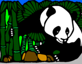 Desenho Urso panda e bambu pintado por Ana Marcely