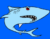 Desenho Tubarão pintado por Lòquius