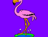 Desenho Flamingo com os pés de molho pintado por jessica