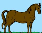 Desenho Cavalo andaluz pintado por brunao