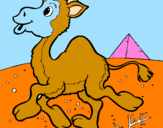 Desenho Camelo pintado por CAMILA.
