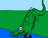 Desenho Crocodilo a entrar na água pintado por Patricia