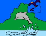 Desenho Golfinho e gaviota pintado por nara