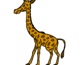 Desenho Girafa pintado por mila