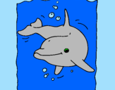 Desenho Golfinho pintado por karolyna