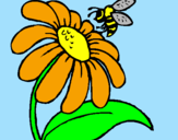 Desenho Margarida com abelha pintado por JP13(007)