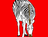 Desenho Zebra pintado por JULIA  ARIELLY BUENIO