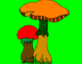Desenho Cogumelos pintado por maraleo