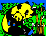 Desenho Mamã panda pintado por allan