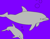Desenho Golfinhos pintado por diogo