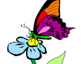 Desenho Borboleta numa flor pintado por rita faial canario