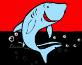 Desenho Tubarão pintado por livan