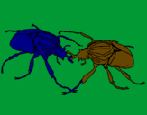 Desenho Escaravelhos pintado por cavalero negro 