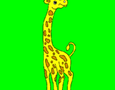 Desenho Girafa pintado por tata