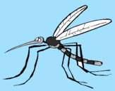 Desenho Mosquito pintado por Natalia 