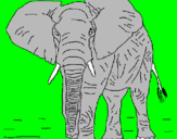 Desenho Elefante pintado por bruna  8  anos