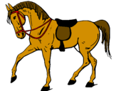 Desenho Cavalo de competição pintado por jesusg.n