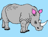 Desenho Rinoceronte pintado por amanda