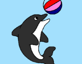 Desenho Golfinho a jogar com uma bola pintado por sakura