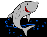 Desenho Tubarão pintado por Feralligatir