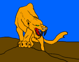 Desenho Tigre com dentes afiados pintado por rhayner