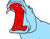 Desenho Hipopótamo com a boca aberta pintado por cooda