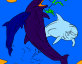 Desenho Golfinhos a brincar pintado por gabi ferreira