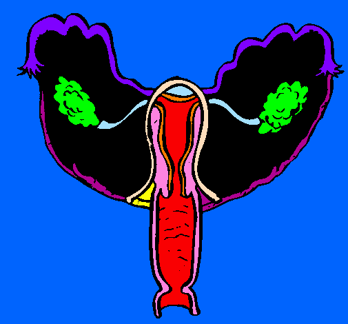 Desenho Vagina pintado por michelly
