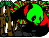 Desenho Urso panda e bambu pintado por bruno
