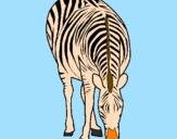 Desenho Zebra pintado por ygor cezar