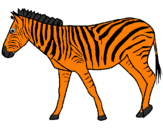 Desenho Zebra pintado por ian