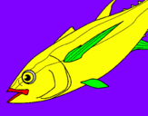 Desenho Peixe pintado por diogo