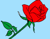 Desenho Rosa pintado por manuella