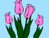 Desenho Tulipa pintado por maria fer