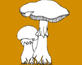Desenho Cogumelos pintado por eli
