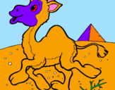 Desenho Camelo pintado por Sergio