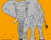 Desenho Elefante pintado por joao