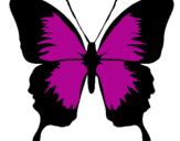 Desenho Borboleta com asas negras pintado por  inseto