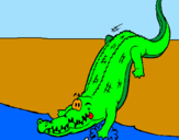 Desenho Crocodilo a entrar na água pintado por Mayara