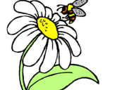 Desenho Margarida com abelha pintado por paolla