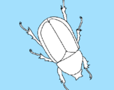 Desenho Escaravelho pintado por t