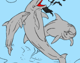 Desenho Golfinhos a brincar pintado por  gabriel  /goufin        