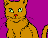 Desenho Gato pintado por Duda Bella