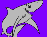 Desenho Tiburão alegre pintado por diogo