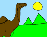 Desenho Camelo pintado por pedro