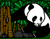 Desenho Urso panda e bambu pintado por Amanda