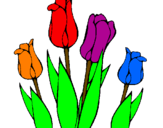 Desenho Tulipa pintado por pedro